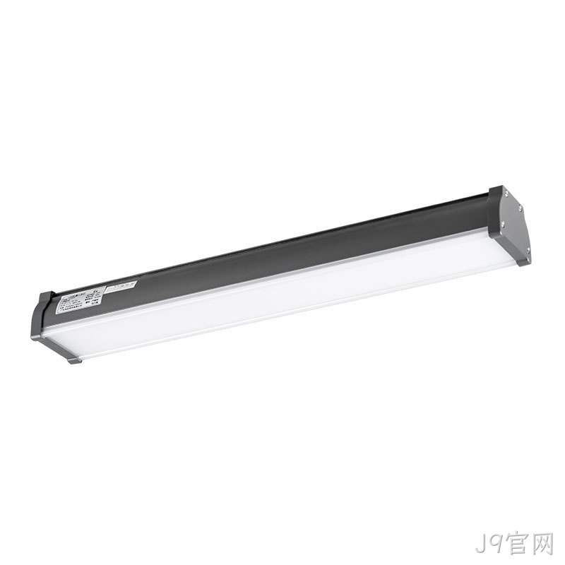 C06系列一体三防灯